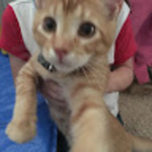 Meet your Posher, Blair